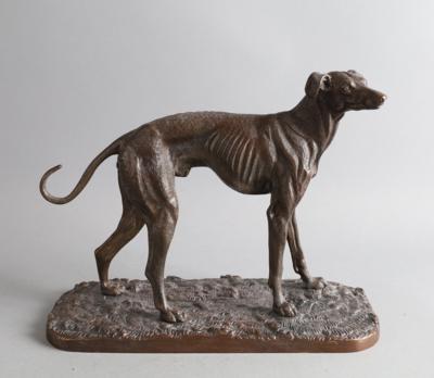 Windhund, - Antiquariato