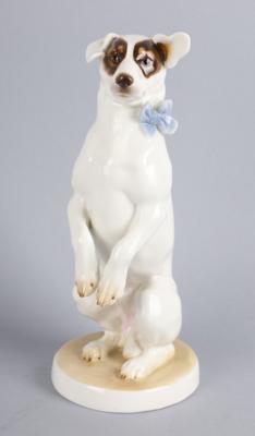 Jack Russell Terrier, Porzellanmanufaktur Nymphenburg, - Starožitnosti