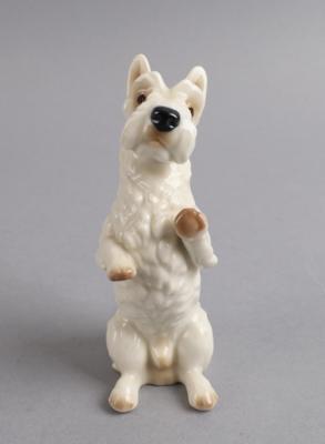 Scottish Terrier, Porzellanmanufaktur Nymphenburg, - Starožitnosti