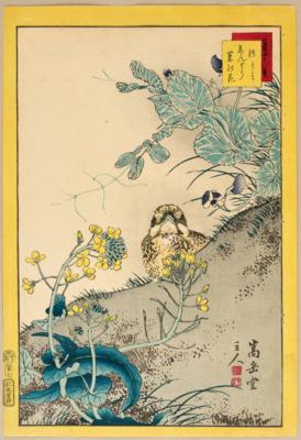 Nakayama Sugakudo (aktiv 1850-1860)Nachschnitt - Antiquariato