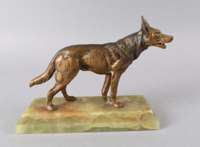 Schäferhund, - Antiquariato