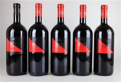 2000, 2004, 2006, 2007, 2009. Mystique, Weingut Pöckl, Burgenland, 5 Flaschen Magnum - Wines and Spirits