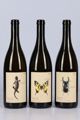 2020 Salamander (Chardonnay-Morillon), 2020 Segelfalter (Gelber Muskateller), 2020 Hirschkäfer (Sauvignon-Chardonnay), Andreas Tscheppe, Steiermark, 3 Flaschen - Vini e spiriti