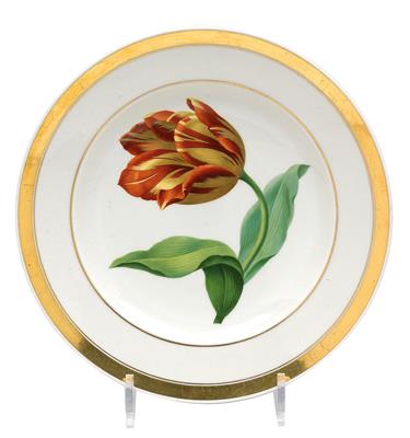 A botanical plate - "Tulipa gesneriana", - Vetri e porcellane