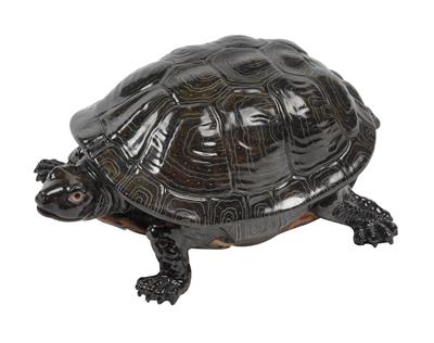 A turtle, - Sklo, Porcelán