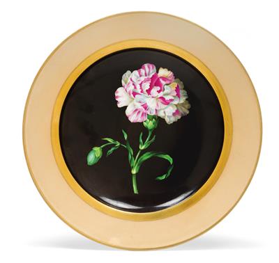 A botanical plate "Dianthus caryophyllatus", - Sklo, Porcelán