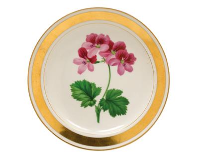 "Pelargonium Metternichianum”, - Glass and porcelain