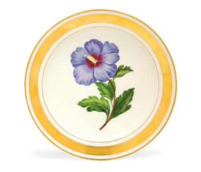 A botanical plate "Hibiscus syriacus", - Glass and porcelain