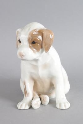 Sitzender junger Hund, B & G, - Vetri e porcellane