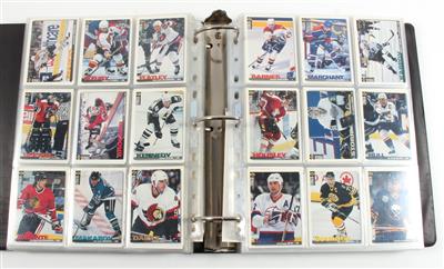 TRADING CARDS - EISHOCKEY - Plakáty, Komiksy a komiksové umění