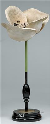 A c. 1910 botanical Model, white poppy flower - Clocks, Metalwork, Faience, Folk Art, Sculptures +Antique Scientific Instruments and Globes
