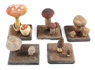 A collection of five c. 1900 painted papermache/plaster Mushroom Models - Clocks, Metalwork, Faience, Folk Art, Sculptures +Antique Scientific Instruments and Globes