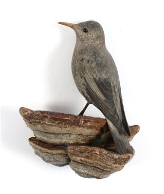 A large Viechtau bird, starling, - Antiquariato - orologi, sculture, maioliche, arte popolare