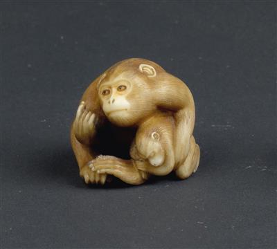 An ivory netsuke of a monkey with its young, Japan, Meiji Period, signed Ikkosai - Umění a starožitnosti