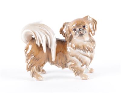 Pekinese, - Antiquariato