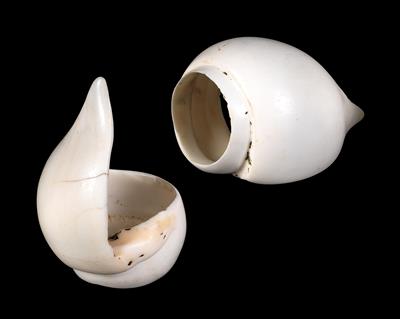 Mixed lot (2 pieces), Tibet, Nepal: two white sea shell bangles from Tibet or Nepal. Carved from the shells of sea snails. - Mimoevropské a domorodé umění