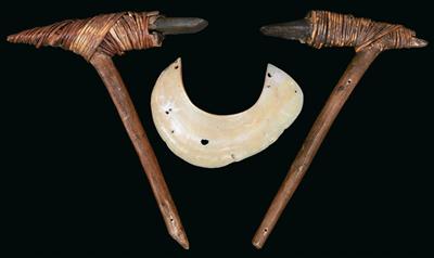 Mixed lot (3 pieces), New Guinea: a so-called ‘kina shell’ (jewellery and wealth object) and two stone axes. - Tribal Art