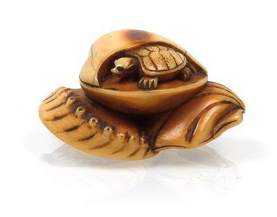 An ivory netsuke depicting shells with turtle - Asian art