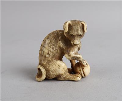 Netsuke eines Hundes mit Kemari Ball, Japan, 19. Jh., - Starožitnosti