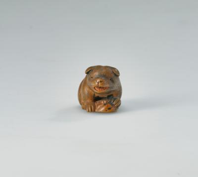 Netsuke eines Welpen mit Muschel, Japan, 19. Jh., - Arte Asiatica