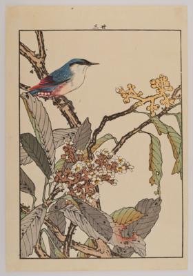Imao Keinen (1845-1924), - Asian Art