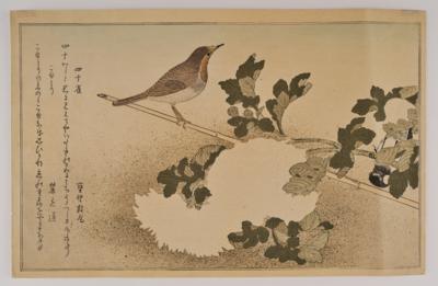 Kitagawa Utamaro (1753-1806) Meiji-Nachschnitt, - Asijské umění