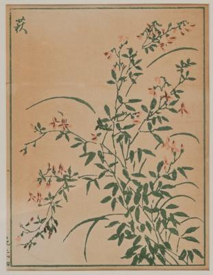 Kitao Masayoshi (1764-1824), - Asijské umění