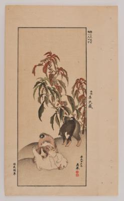 Mori Sosen (1747 - 1821) Werkstatt, - Arte Asiatica