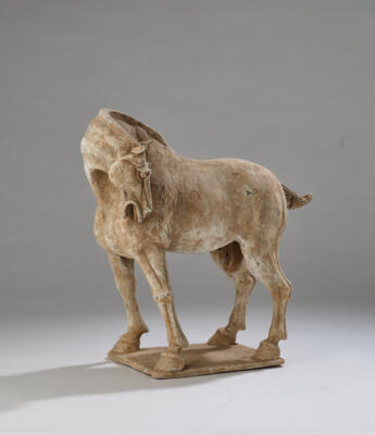Pferd, China, Tang Dynastie (618-906), - Arte Asiatica