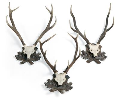 Set of 5 deer’s antlers, - Di provenienza aristocratica