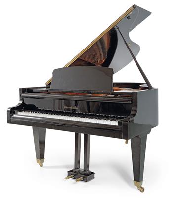 Salon grand piano, - Nábytek, koberce