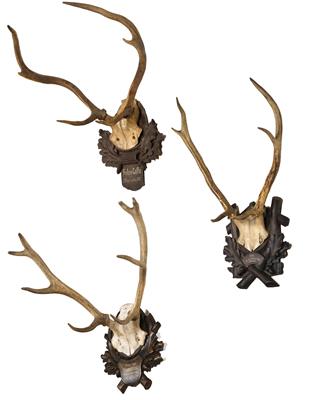 A Mixed Lot with Three Hunting Trophies, - Furniture