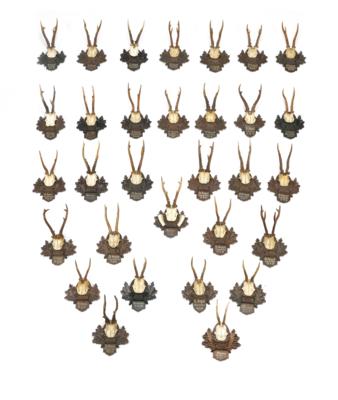 A Mixed Lot with 31 Antlers, - Di provenienza aristocratica