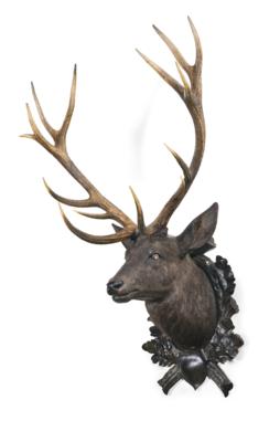 A Stag’s Head / Hunting Trophy, - Mobili rustici