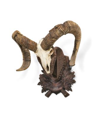 A Hunting Trophy - Mouflon, - Lidový nábytek