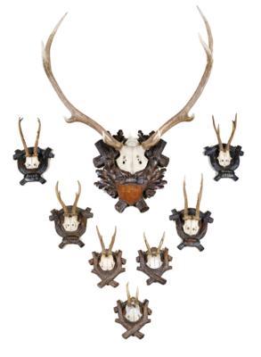 A Mixed Lot with 8 Hunting Trophies, - Mobili rustici