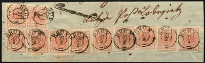 Briefstück - Österr. Nr. 3 H III a - 11 Stück auf großem Briefstück mit Stempeln BRÜX, - Známky