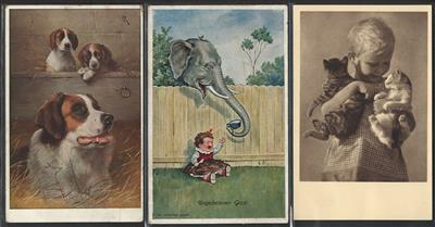 Poststück - Ca. 180 Motivkarten meist Tiere, - Stamps