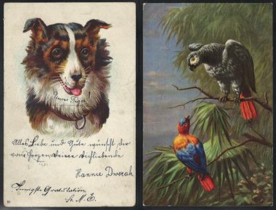 Poststück - Partie Tier-Motivkarten, - Motiv- und Ansichtskarten