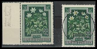 ** - Österr. 1948 Buschwindröschen ohne gelben Blütenstaub + 1 gestempelt Vergleichsstück, - Stamps