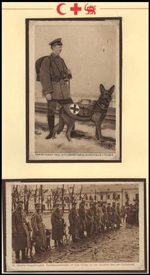 Poststück - Sammlung Motivkarten "Sanitätshunde im Felde" 1914/1918, - Francobolli