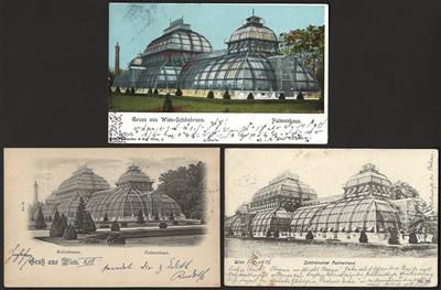 Poststück - Über 40 alte AK Schönbrunner Palmenhaus mit Umgebung, - Stamps