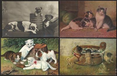 Poststück - Motivkarten Hunde und Katzen - (ca. 100), - Briefmarken und Ansichtskarten