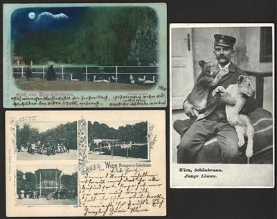 Poststück - Über 50 alte AK aus dem Tiergarten Schönbrunn, - Francobolli e cartoline