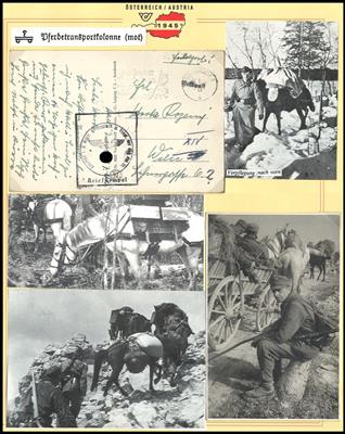 Poststück - Armeepferde im II. WK Dokumentation + etwas Hunde, - Briefmarken und Ansichtskarten