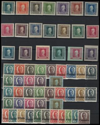 */**/(*) - Partie Österr. Feldpost ausschließlich Kaiser Karl - Ausg., - Briefmarken und Ansichtskarten