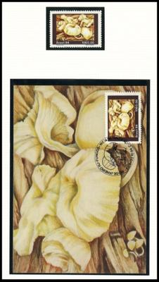 **/Poststück - Partie Motivmarken "Pilze" mit viel Übersee, - Briefmarken und Ansichtskarten