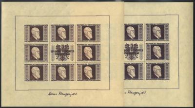 ** - Österr. - RENNERBLOCK in unterschiedl. Erh. bzw. kl. Mgl., - Stamps