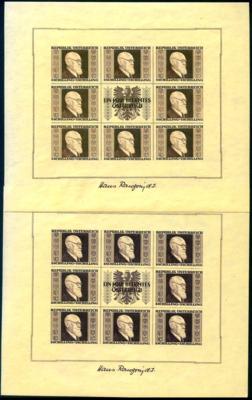 ** - Österr. - RENNERBLOCK mit div. Unebenh. etc., - Stamps and postcards