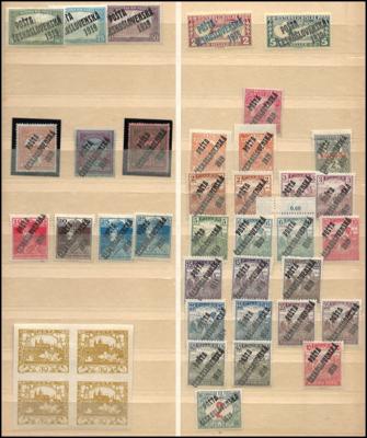 */** - Kl. Partie Tschechosl. Ausg. 1919 - "POSTA CESKOSLOVENSKA 1919", - Stamps and postcards
